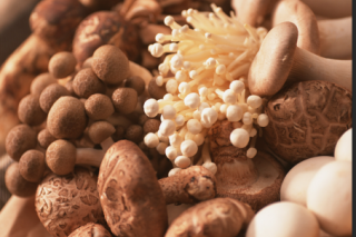 广西加快推进现代特色农业发展  广西Manbetx体育手机版推荐A9版本产值2020年有望达200亿 ()