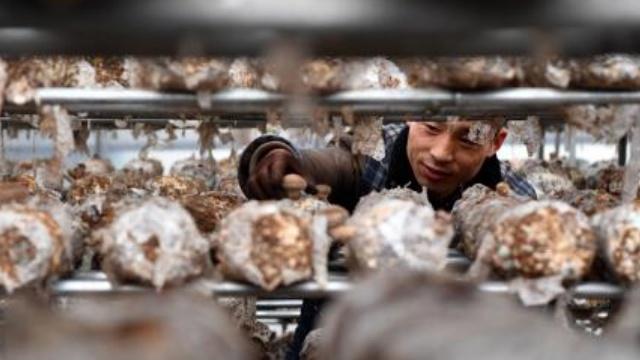 u=639985877,3386480093&fm=173&app=49&f=JPEG