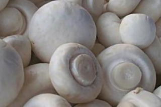 天峨八腊小寨Manbetx体育手机版推荐A9版本合作社获评区级示范社 ()