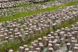 伊春规范废弃Manbetx体育手机版推荐A9版本袋处理 ()