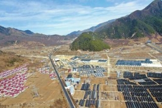 一朵“彝乡菇”铺成彝乡脱贫路 ()