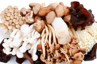 贵州省人大代表张军建议加大投入 培养引进Manbetx体育手机版推荐A9版本技术人才 ()