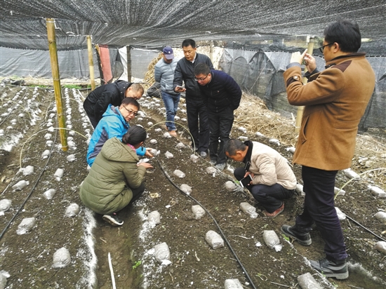 46a86e48-a586-4d0c-b0e3-02e42e4fc710