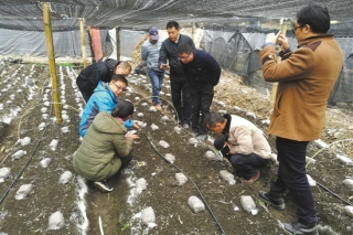 近5吨怒江ManBetX体育将抵珠海  每千克售价198元 ()