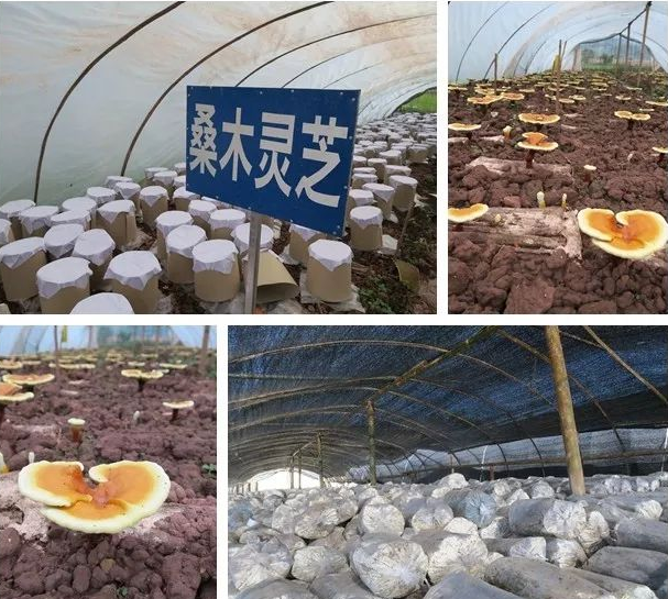 TIM截图20190218141724