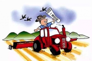 2019年中央一号文件公布 提出坚持农业农村优先发展总方针 ()