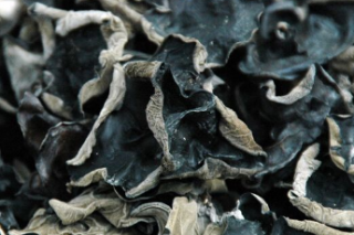 黑木耳产业撑起村民致富梦 ()