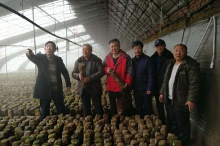 遵化：专家深入一线调研　五项建议助力Manbetx体育手机版V17版本发布.官网安卓网.香港产业发展 ()