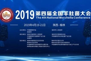 2019第四届全国Manbetx体育手机版推荐A9版本大会通知（第一轮） ()