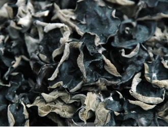 西畴县：种植黑木耳让群众致富 ()