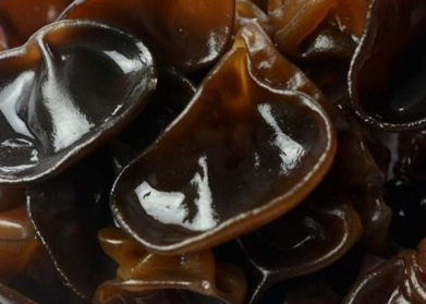 QQ截图20190221161422