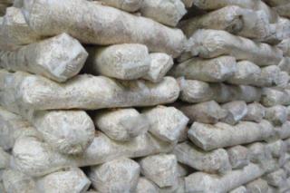 金华市蔬菜技术推广站开展全市Manbetx体育手机版V17版本发布.官网安卓网.香港企业面源污染情况排查 ()