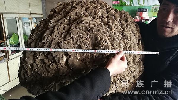 u=1248275614,2022113708&fm=173&app=49&f=JPEG