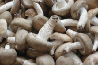 茌平县：市场监督管理局召开Manbetx体育手机版V17版本发布.官网安卓网.香港生产企业风险防控约谈会 ()