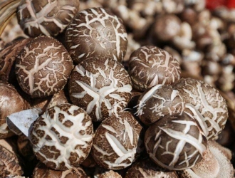 湖北：省Manbetx体育手机版V17版本发布.官网安卓网.香港协会会长边银丙到郧阳指导香菇产业 ()