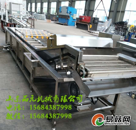 751139745141615109_副本