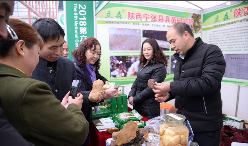 QQ截图20190225173559