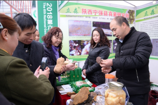 打造“立森”品质　宁强县真菌研究所以质量塑品牌 ()