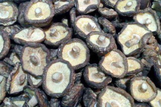 澧县：农业局召开黄家套Manbetx体育手机版V17版本发布.官网安卓网.香港产业园建设招商座谈会 ()