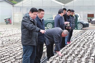 20190226100222_5bcf9987edf77150c7eeb2d8be6f193d_1