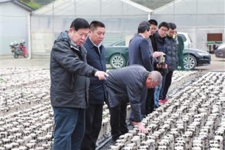 中国工程院院士李玉前往遵义参观考察 ()