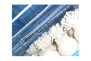 易安装、免维护、寿命长　鸿益达Manbetx体育手机版V17版本发布.官网安卓网.香港专用LED灯使用寿命可达5万小时以上 ()