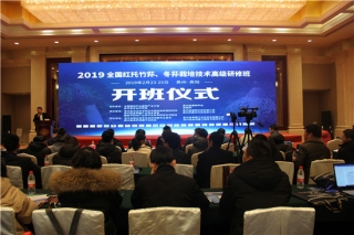 2019全国红托竹荪、冬荪ManBetX体育高级研修班在贵阳举行 ()