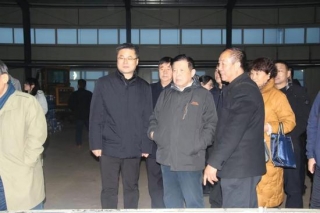 中国工程院士李玉到阜平调研Manbetx体育手机版推荐A9版本产业 ()