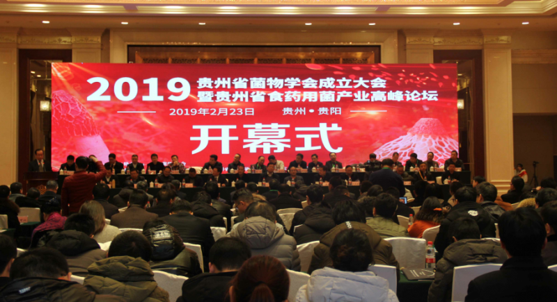 QQ截图20190227133826