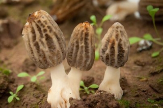 丽江华坪Manbetx体育手机版V17版本发布.官网安卓网.香港产业稳步发展 ()