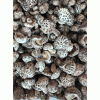 干香菇 昌盛宝菇白花菇 3cm左右产地直销批发