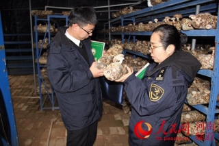 “纸黄金”开道 河南省特色农产品走俏海外市场 ()