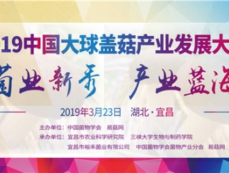 菌业新秀大球盖菇傲娇“登场” 撬动产业新升级 ()