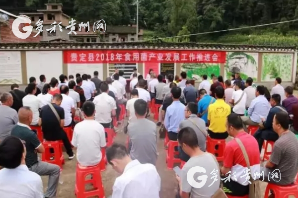 00303363681_ec18f914