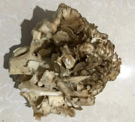 QQ截图20190305102524