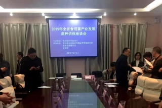 目标30万亩（亿棒）　贵州召开Manbetx体育手机版推荐A9版本产业发展菌种供保座谈会 ()