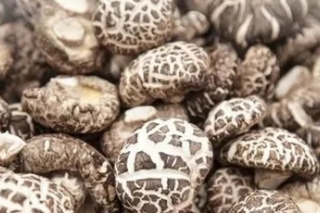 两会人大代表马化彬： 增加对Manbetx体育手机版推荐A9版本的干热风预报服务 ()