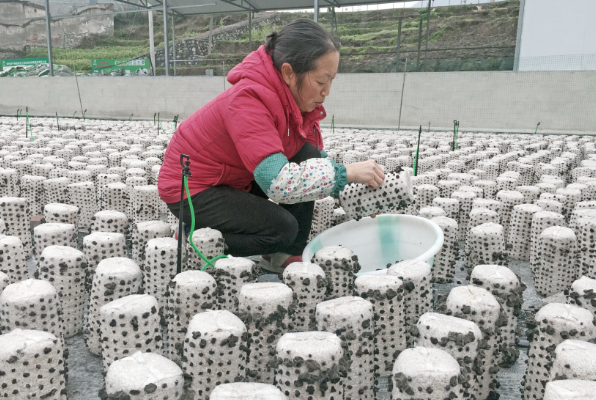 QQ截图20190306142242