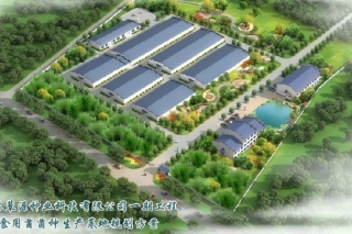 江苏蕈源：以专业团队为依托 培养优良品种 ()