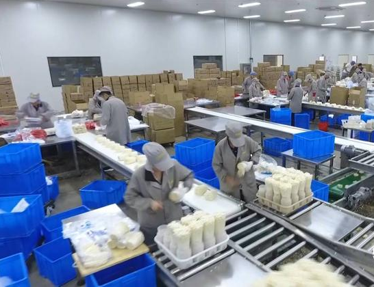 QQ截图20190308083650