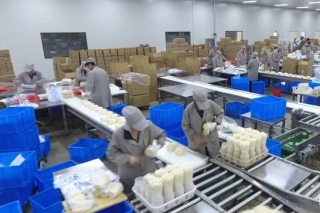 济宁邹城市“Manbetx体育手机版推荐A9版本”带动农民增收两亿多元 ()