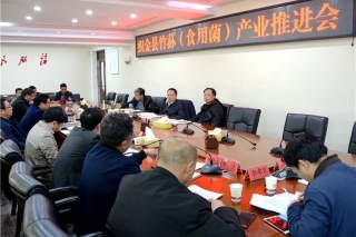 织金县竹荪（Manbetx体育手机版推荐A9版本）产业推进会召开 ()