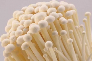 今年前2月厦门关区出口保鲜金针菇大幅增长 ()