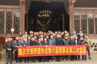 重庆市Manbetx体育手机版推荐A9版本协会召开第六届理事会 ()