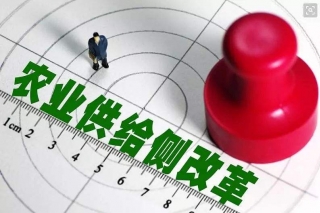 农民日报评论员:要推进农业供给侧结构性改革 ()