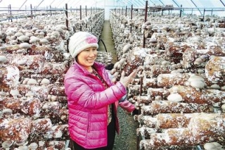 从种蘑菇到Manbetx体育手机版推荐A9版本饮料上市——平泉发展壮大Manbetx体育手机版推荐A9版本产业的启示 ()