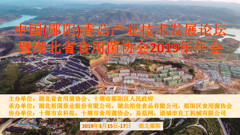 QQ截图20190311165238