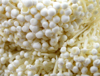 浙江开化：科技兴农 以产品带产业深挖Manbetx体育手机版推荐A9版本价值 ()