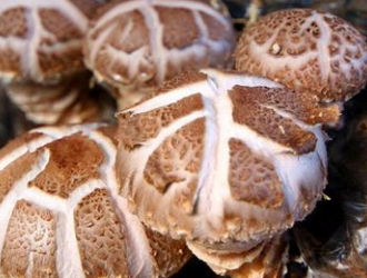 天津海关助力蓟州Manbetx体育手机版推荐A9版本出口百日突破百万美元 ()