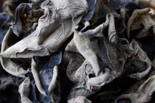 阳城桑枝生产Manbetx体育手机版推荐A9版本“变废为宝” ()